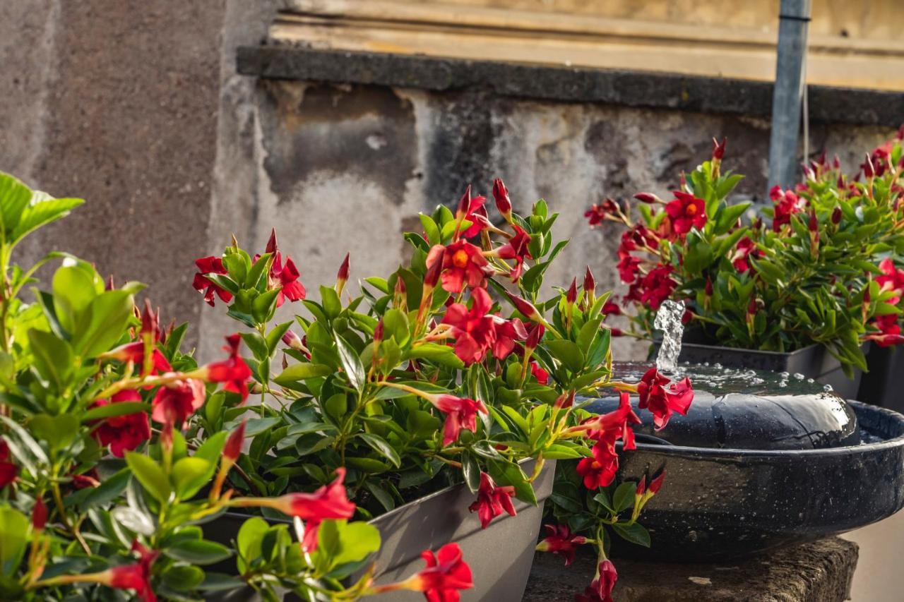 Ag Spanish Steps Terrace Rome Luaran gambar